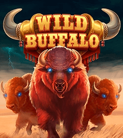 Wild Buffalo